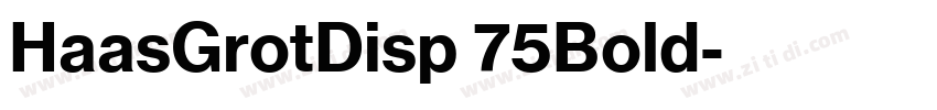 HaasGrotDisp 75Bold字体转换
